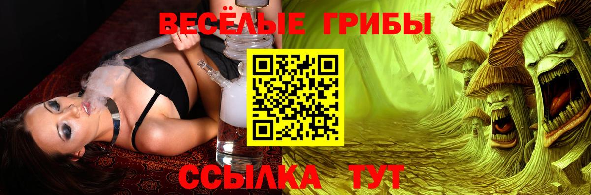 Галлюциногенные грибы GOLDEN TEACHER  Вход с VPN  продажа наркотиков  Кисловодск 